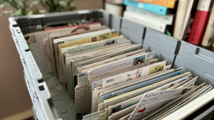Des cartes postales dans un bac en plastique.
