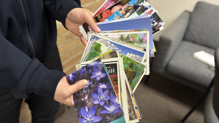 Des cartes postales.