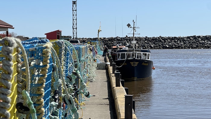 Des homardiers accostés au quai, sur lequel se trouvent de nombreux casiers à homard.