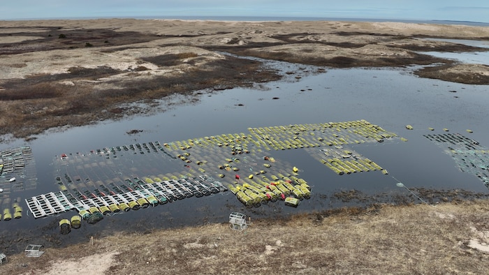 Des centaine de casiers devant des dunes.