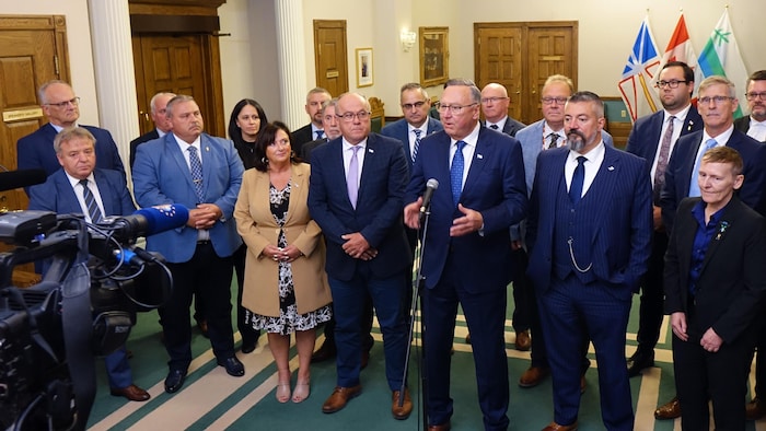 Le caucus progressiste-conservateur.