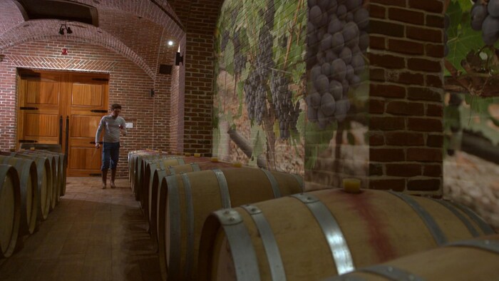 On voit les barriques qui contiennent le vin, alignées dans la cave aux murs de brique.