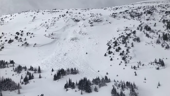 Une avalanche dévale un flanc du mont Potato, à quelque 40 kilomètres au sud du lac Tatla, en Colombie-Britannique, où deux skieurs sont mort le samedi 11 février 2023.