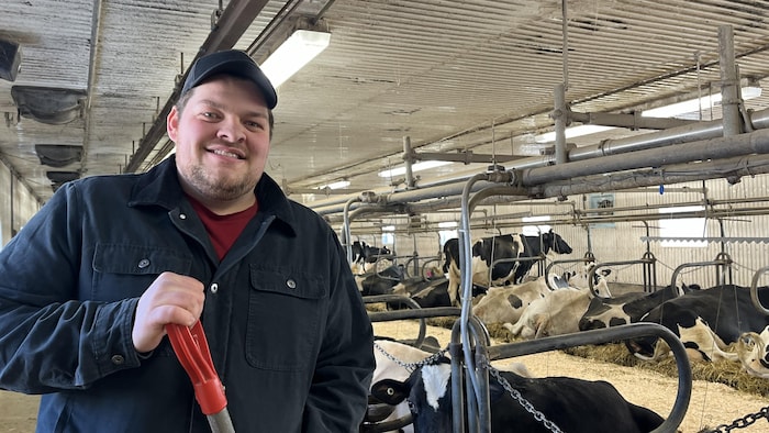 Cédric Guillemette dans une étable. Derrière lui, plusieurs vaches laitières.
