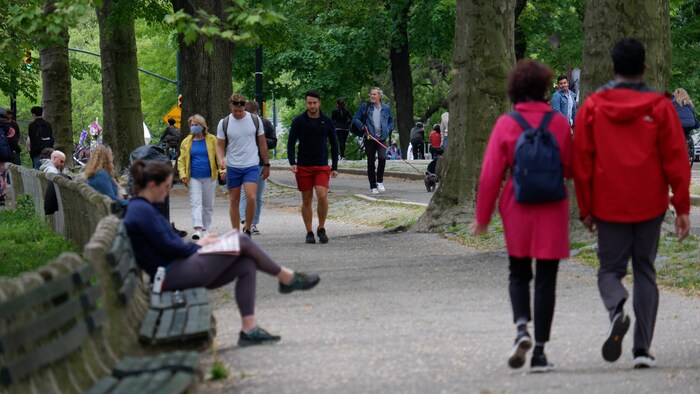 Des marcheurs dans Central Park.