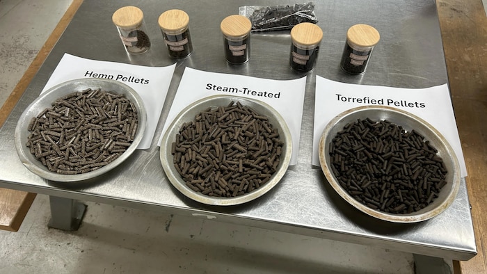 Des granules disposées dans des assiettes sur une table.