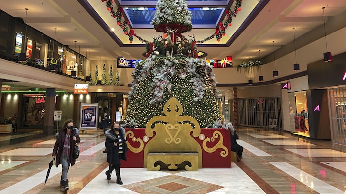 Quelques personnes et un grand sapin décoré dans un centre commercial.
