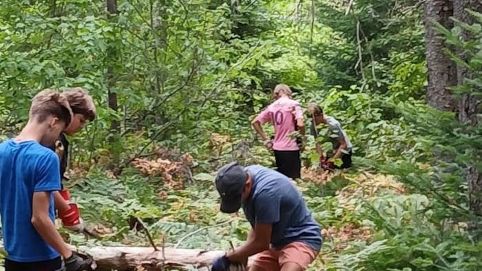 Des jeunes en forêt.