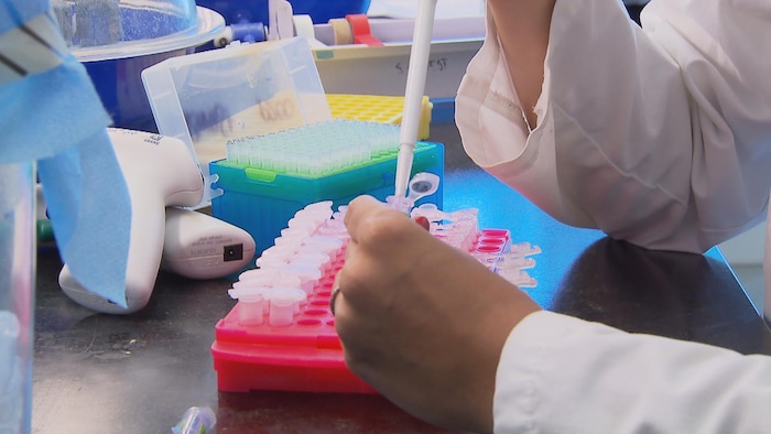 Des travaux de recherche sont menés dans un laboratoire d'un centre hospitalier.