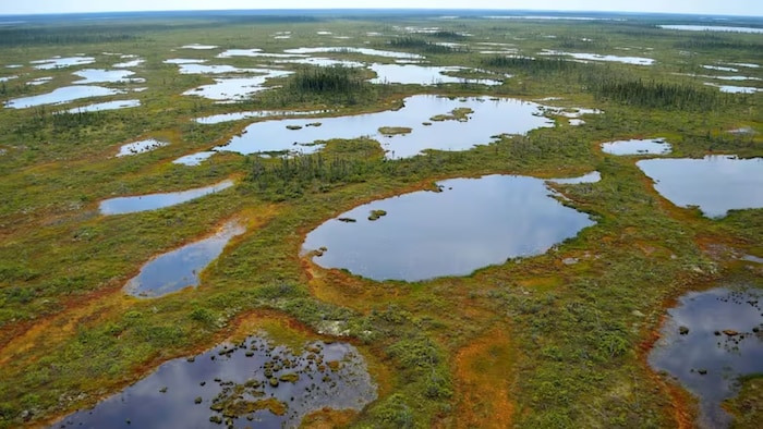 Un espace parsemés d'endroits avec eau. 