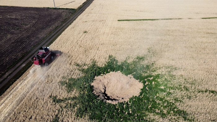 Vue aérienne d'un champ où un cratère a endommagé une partie des céréales.