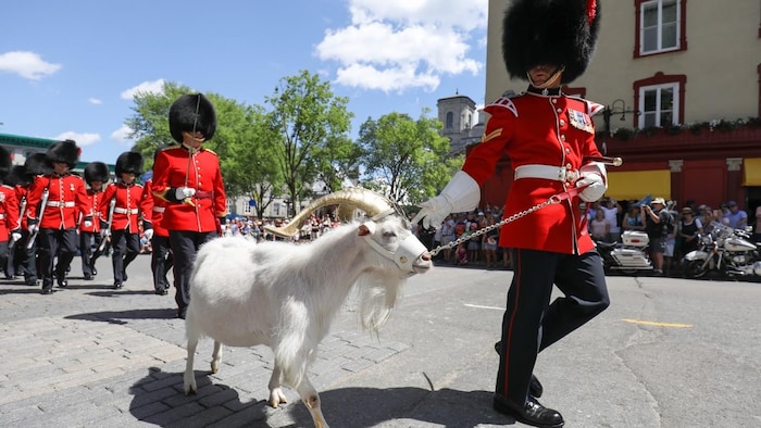 Un soldat du Royal 22e Régiment défile en compagnie de la mascotte Batisse, un bouc au pelage blanc. Le soldat porte une tunique rouge et un chapeau de poil noir. En retrait, un peloton de soldats marche en formation, armes à l’épaule.