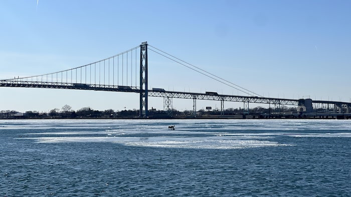 Trois cerfs pris sur la glace dans une rivière Détroit à l’approche du pont Ambassador à Windsor le lundi 2 mars 2026.