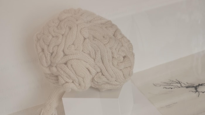 Un tricot en forme de cerveau est en montre au centre CERVO. 