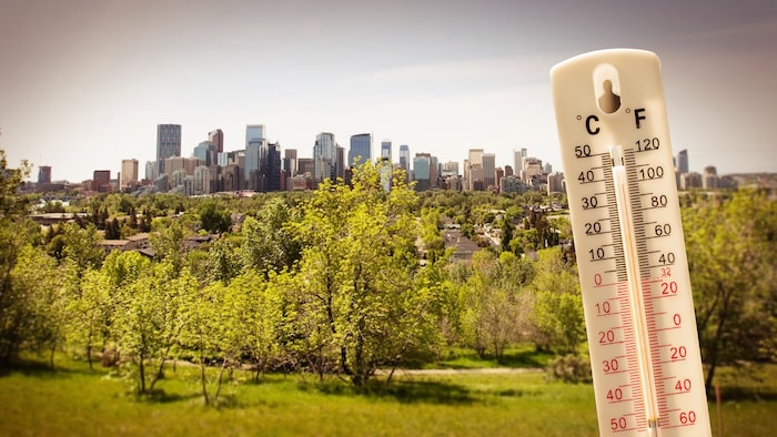 La ville de Calgary par une journée ensoleillée, avec un thermomètre qui indique 37 degrés.