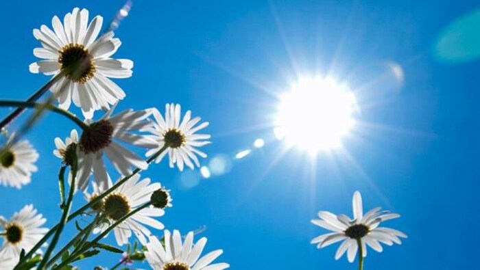 Le soleil brille dans le ciel