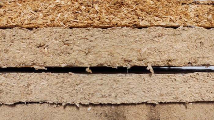 Des champignons dans les murs : le potentiel des mycomatériaux en ...