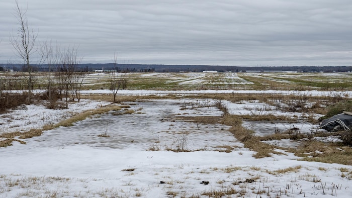 Un peu de neige dans des champs en Mauricie.