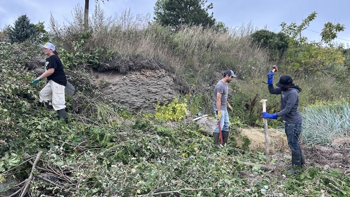 Trois personnes travaillent sur une berge.