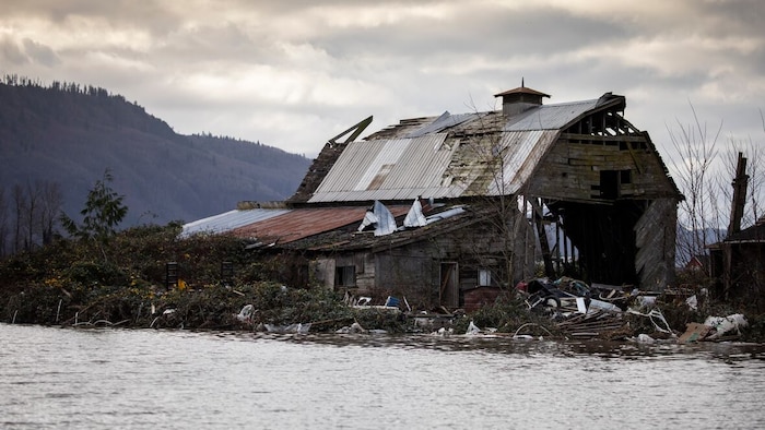Une grange affaissée entourée d'un sol glacé dans la vallée du Fraser.