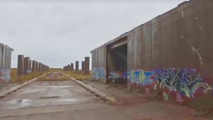 Des colonnes de béton couvertes de graffitis, de chaque côté d'un large chemin de ciment endommagé et envahi par la végétation.