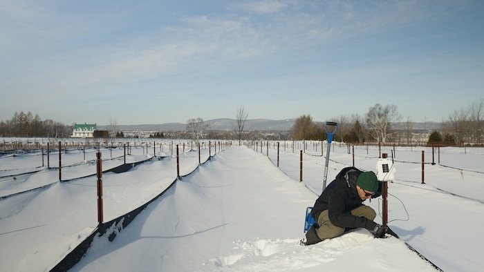 Charles Denault ajuste un appareil de mesure dans la neige.