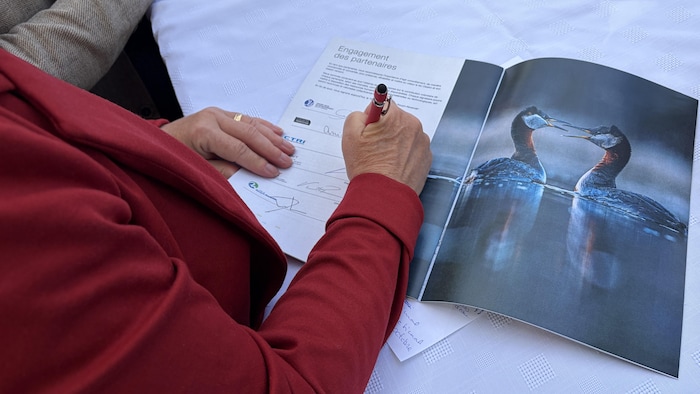 Une main signe dans un document où l'on voit une photo de grèbes jougris.