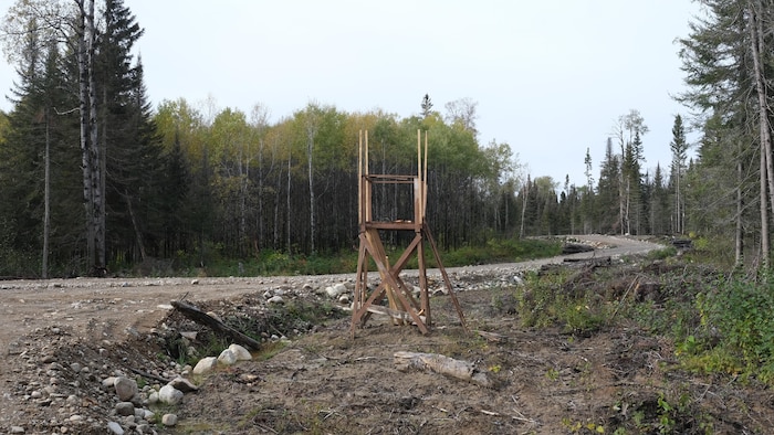 Un mirador en construction en bordure d'un chemin en forêt.