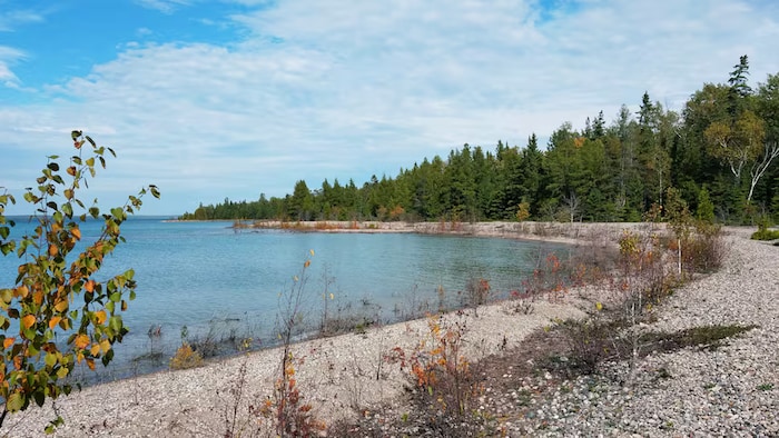 Un lac entouré d’un espace boisé.