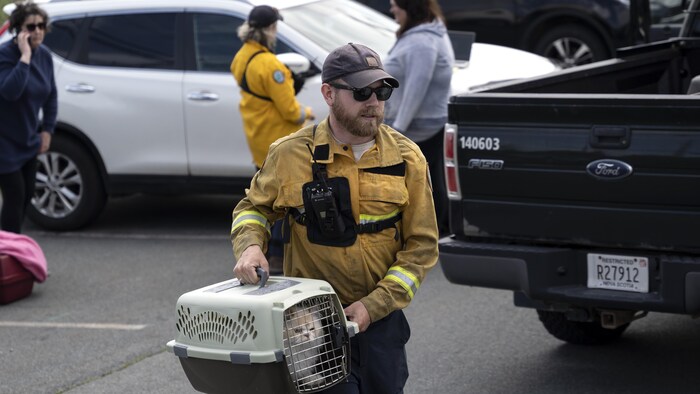 L'agent transporte un chat dans une cage.