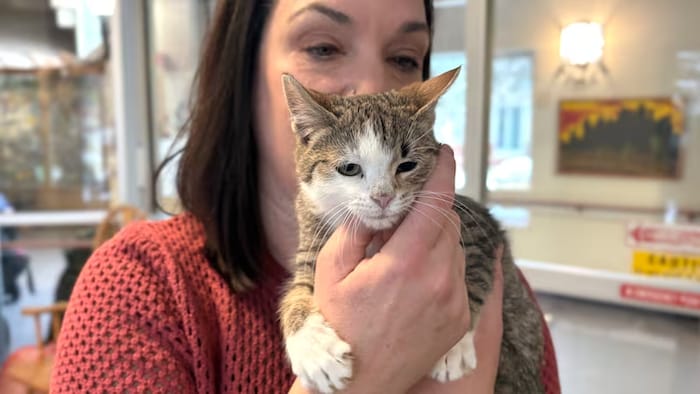 Allison Fox présente Phoenix, l'un des chatons rescapés, désormais hébergé au centre de soins de longue durée où elle travaille.
