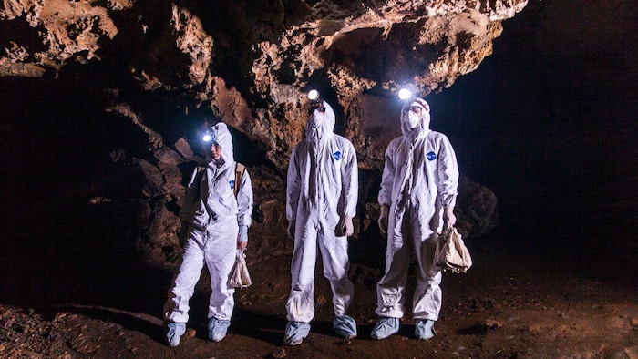 On voit trois personnes en combinaison blanche et munies de lampes-torches qui explorent une grotte. Elles tiennent un sac dans la main.