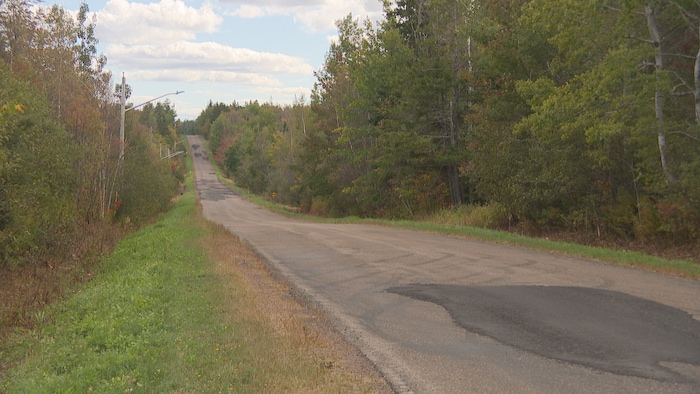 Route de campagne entourée de forêt