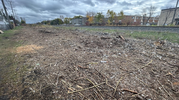Les abords de la voie ferrée avec des restes de branches.