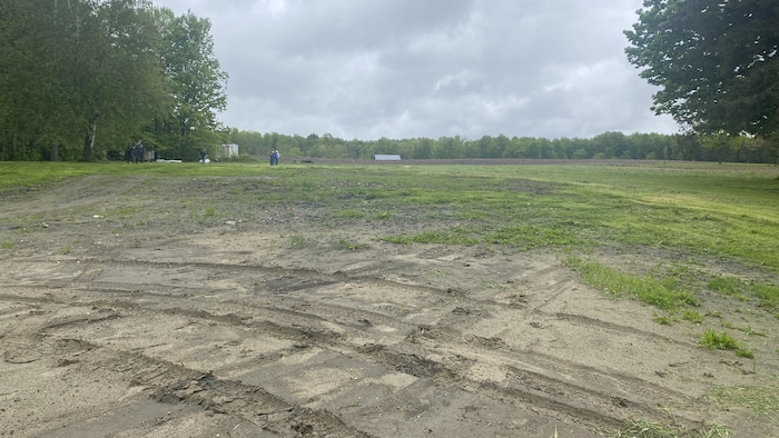 Un vaste terrain, avec de la pelouse et des espaces boueux. Il est entouré d'arbres.