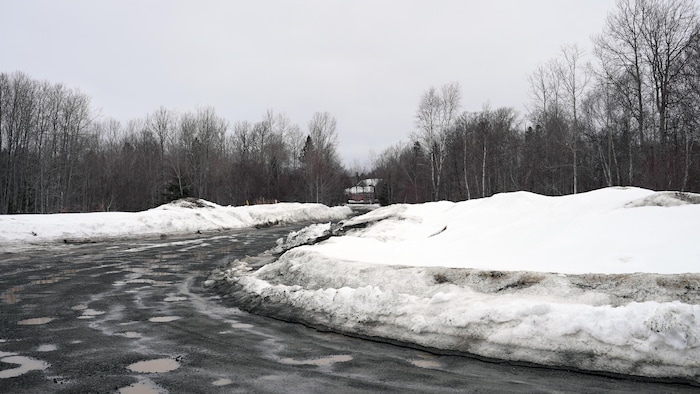 Le chemin Senator et la rue Hélène où sera situé le futur quartier du lac Noranda.      
