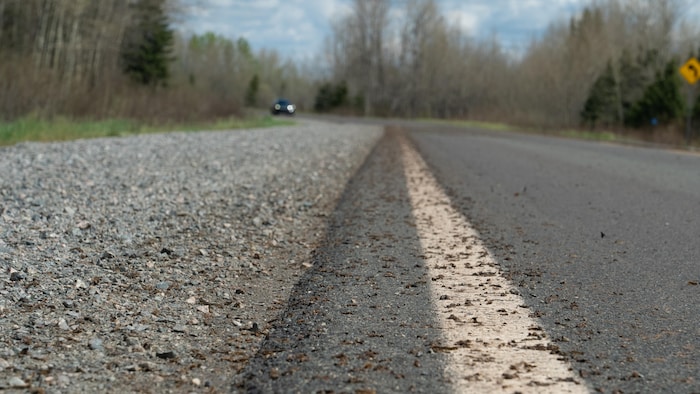 Des chenilles visibles sur une route sur laquelle circule une voiture. 