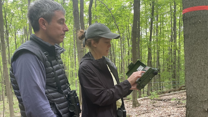 Deux chercheurs consultent un appareil pour enregistrer les chants d'oiseaux.