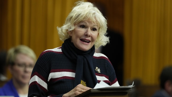 Cheryl Gallant parle à la Chambre des communes.