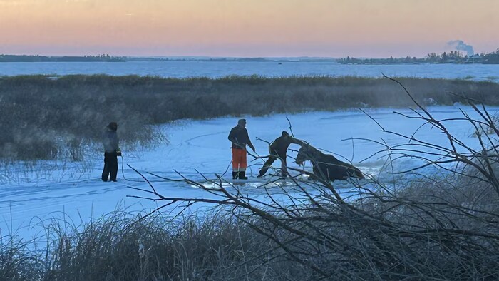 Trois personnes sur un ruisseau glacé, près d'un cheval avec de l'eau jusqu'au torse. 