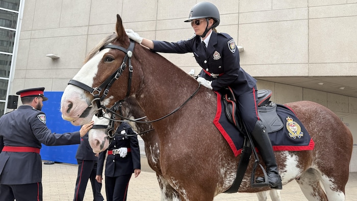 Une agente de police sur un cheval.