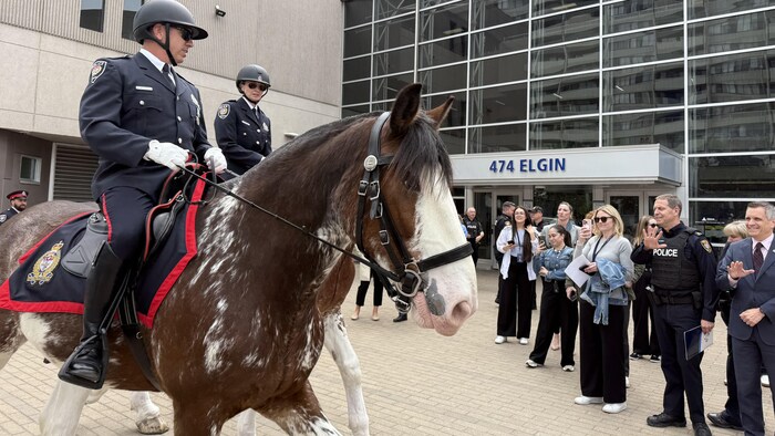 Deux agents de police sur des chevaux devant une foule qui les prend en photos et les salue.