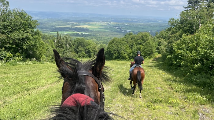 Deux personnes montées à cheval se promènent dans la nature.