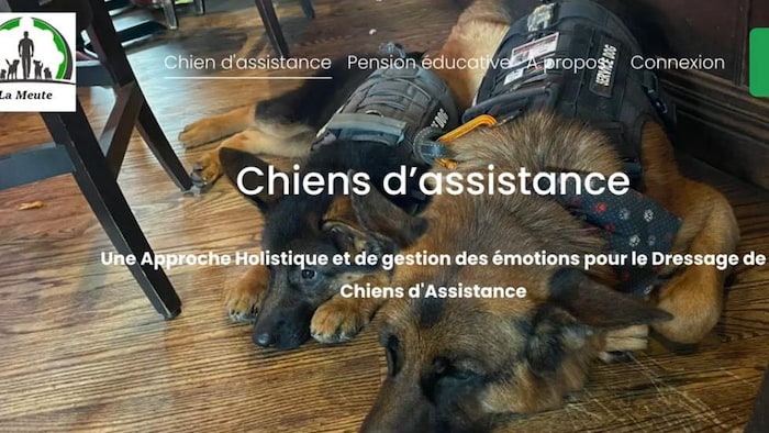 Une capture d’écran du site web de l’entreprise.