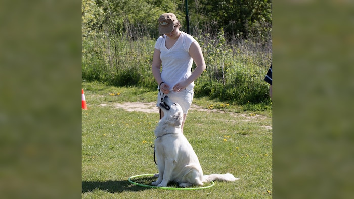 Une femme et son chien se regardant dans la nature.