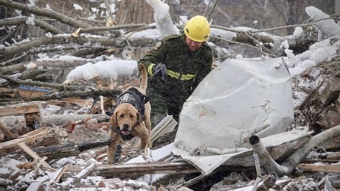 Un homme et un chien marchent dans les débris.