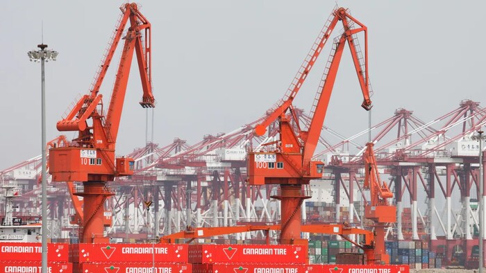 Canadian Tire shipping containers sit in Shanghai, China. One move toward greater supply chain resillence used by larger companies is to take greater control of the transportation network.