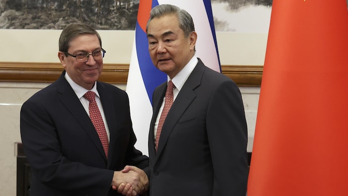 Les deux hommes se serrent la main devant des drapeaux de leurs pays.