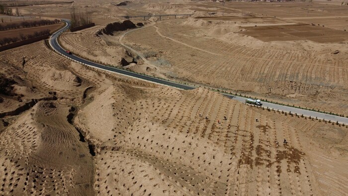 Une vaste étendue désertique en Chine où on plante des arbres