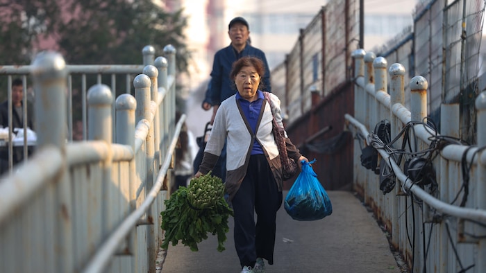 Une femme transporte des légumes.